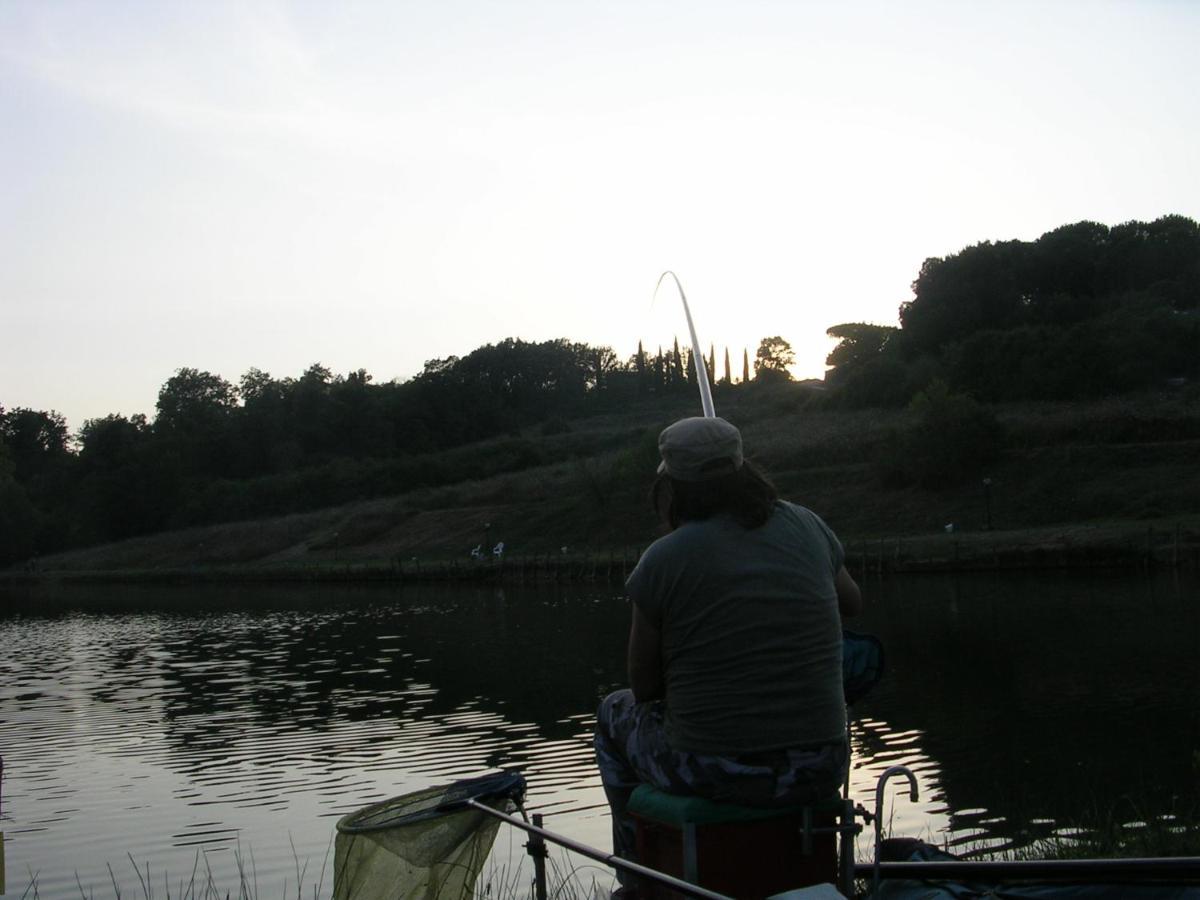 Da Simone Podere Santi Lucia E Pietro Siena Bagian luar foto